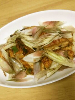 みょうがと厚揚げ豆腐のうま煮-レシピのメイン写真