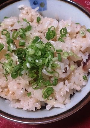 簡単♬秋のたこ飯-レシピのメイン写真