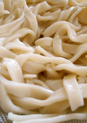 意外と簡単☆手打ちうどん-レシピのメイン写真