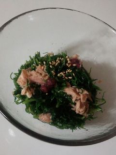おかひじきのお浸し**梅しそツナ缶**-レシピのメイン写真