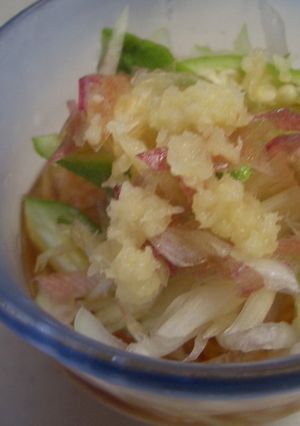 薬味たっぷり千切り冬瓜の麺つゆかけ-レシピのメイン写真