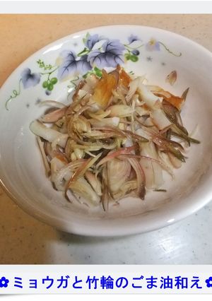 ✿ミョウガと竹輪のごま油和え✿-レシピのメイン写真