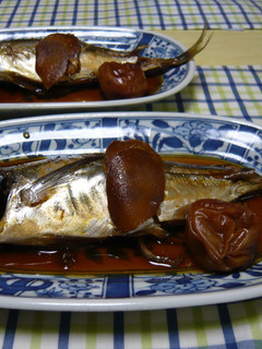 鯵の煮つけ-レシピのメイン写真