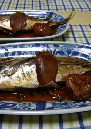鯵の煮つけ-レシピのメイン写真