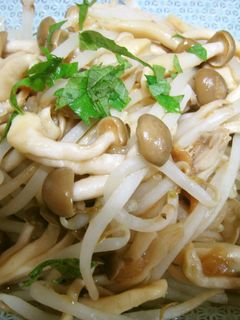 レンジでもう1品!もやし、しめじ梅肉あえ-レシピのメイン写真