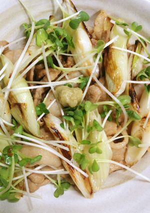 味付け簡単☆長ネギ豚バラ丼-レシピのメイン写真