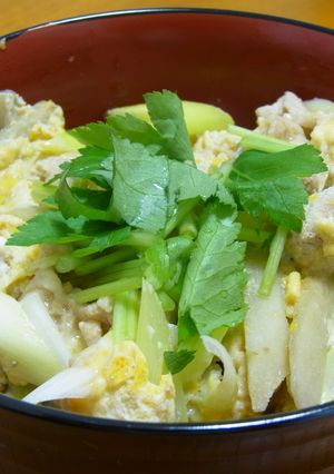 豚ごぼう卵丼-レシピのメイン写真