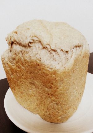 天然酵母♪ココナッツ･全粒粉パン(HB)-レシピのメイン写真