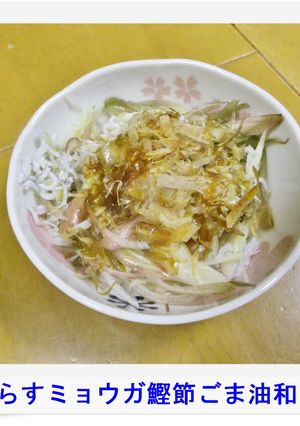 ✿しらすミョウガ鰹節ごま油和え✿-レシピのメイン写真