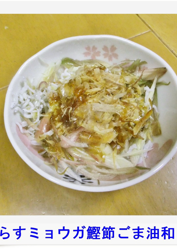 ✿しらすミョウガ鰹節ごま油和え✿-レシピのメイン写真