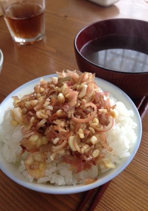 みょうがおかか和えのっけご飯-レシピのメイン写真