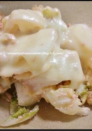 キャベツのチーズ明太子-レシピのメイン写真