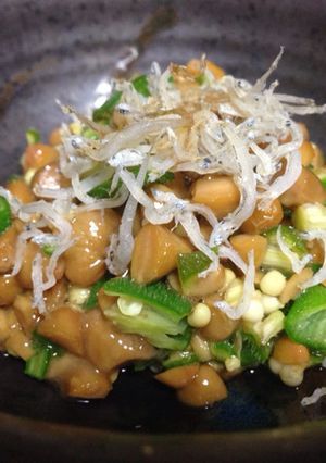 オクラ納豆-レシピのメイン写真