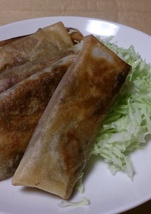 リメイク料理★余ったカレーでカレー春巻き-レシピのメイン写真