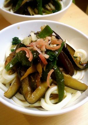 ナス＆ピーマンの焼きびたしぶっかけうどん-レシピのメイン写真