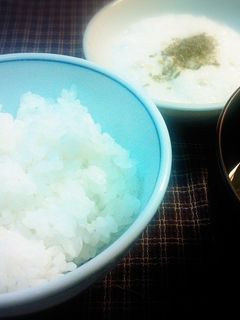 とろろかけご飯(麦とろ飯)-レシピのメイン写真