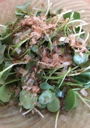 大根の間引き菜のサラダ-レシピのメイン写真