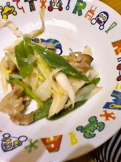 鶏肉と白ネギ炒め-レシピのメイン写真