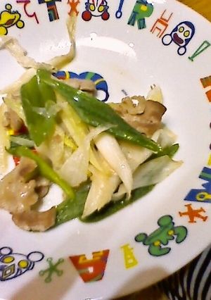 鶏肉と白ネギ炒め-レシピのメイン写真