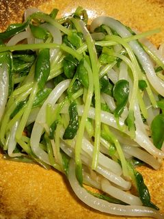 節約★豆苗★もやし★簡単ナムル-レシピのメイン写真