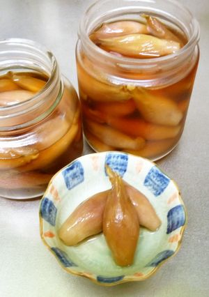 茗荷の甘酢漬け-レシピのメイン写真