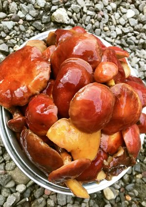 旦那レシピ落葉（らくよう）きのこの下処理-レシピのメイン写真