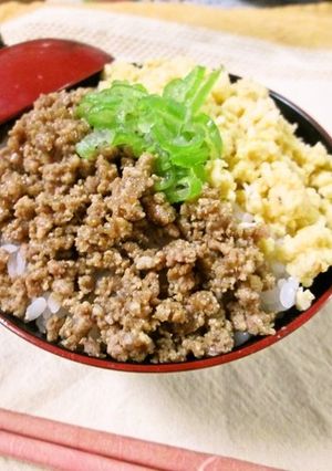 ヘルシー☆高野豆腐入りそぼろ丼-レシピのメイン写真