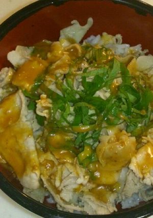簡単豚丼-レシピのメイン写真