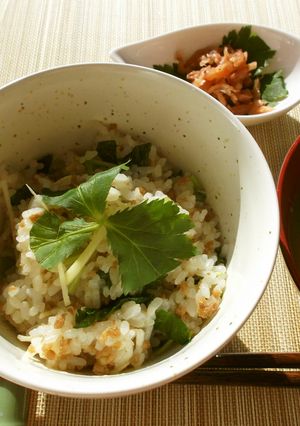 朝食&ランチに❀そぼろと三つ葉の混ぜご飯-レシピのメイン写真