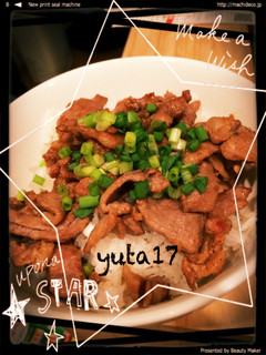 豚肉のっけ丼-レシピのメイン写真
