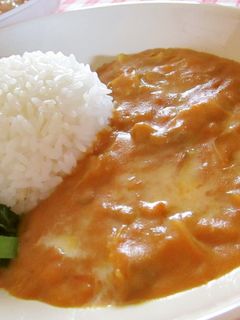 ミルクトマト カレー-レシピのメイン写真