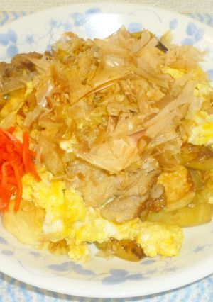 パパの白ゴーヤーとナスチャンプル-レシピのメイン写真