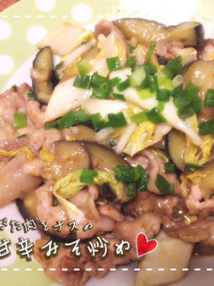 時短!簡単!ぶた肉とナスの甘辛みそ炒め-レシピのメイン写真