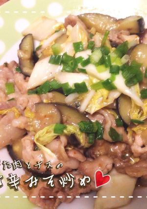 時短！簡単！ぶた肉とナスの甘辛みそ炒め-レシピのメイン写真