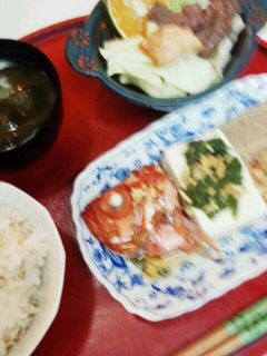 血管プラークダイエット食(DX)-レシピのメイン写真