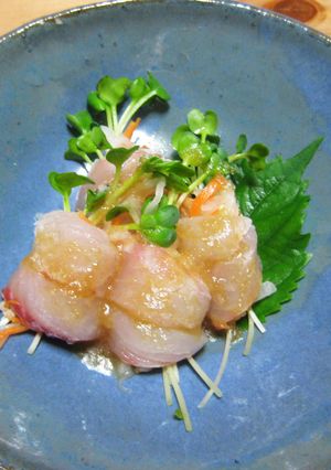 なますの刺身ロール-レシピのメイン写真