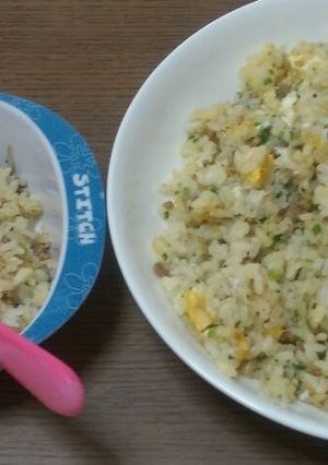 しらすとミンチの簡単炒飯-レシピのメイン写真