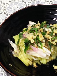 茄子のレンジ蒸し-レシピのメイン写真