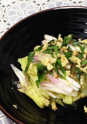 茄子のレンジ蒸し-レシピのメイン写真