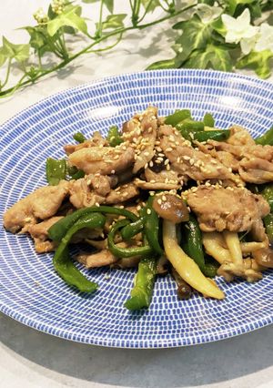❀豚薄切り肉の生姜風味甘辛炒め❀-レシピのメイン写真