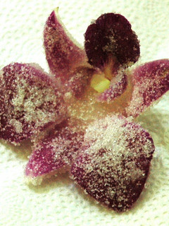 花の砂糖漬け-レシピのメイン写真