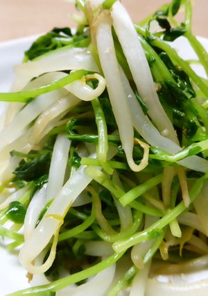 豆苗とモヤシの蒸し炒め-レシピのメイン写真