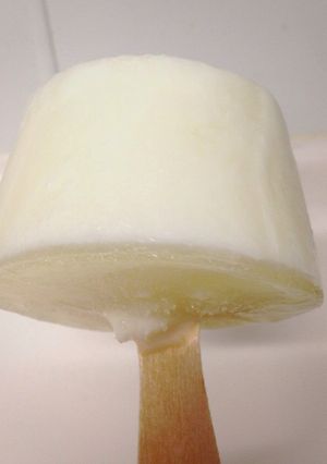簡単すぎるフローズンヨーグルト-レシピのメイン写真