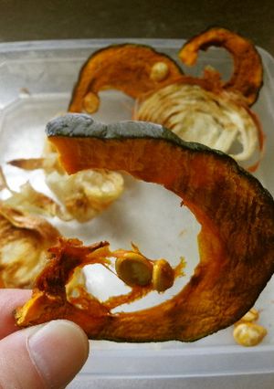 最速のフリーズドライ（かぼちゃ＆玉ねぎ）-レシピのメイン写真