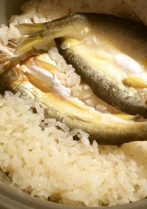 炊飯器と一夜干しdeずぼら鮎めし-レシピのメイン写真