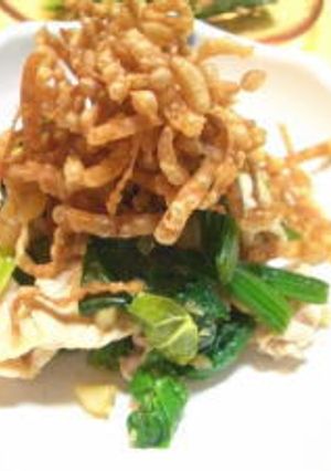 豚肉とほうれん草のニンニクポン酢-レシピのメイン写真
