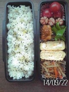 今日の お弁当-レシピのメイン写真