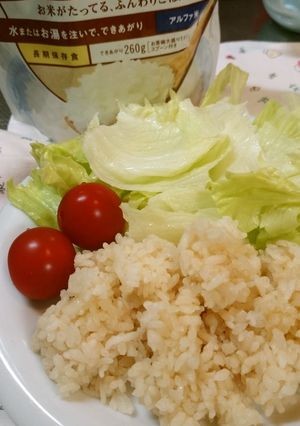 非常食*アルファ米のコンソメご飯-レシピのメイン写真