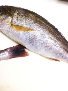 飛び散らない!魚の鱗取り-レシピのメイン写真