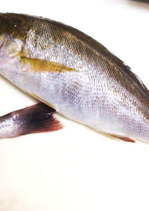 飛び散らない！魚の鱗取り-レシピのメイン写真